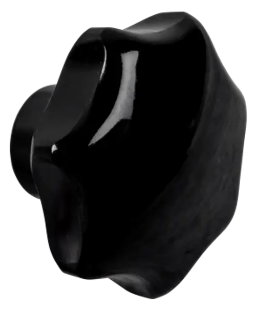 Schwarzer Sterngriff mit einer sechsseitigen Form und glänzender Oberfläche, gefertigt von Wolf, geeignet für verschiedene Anwendungen.